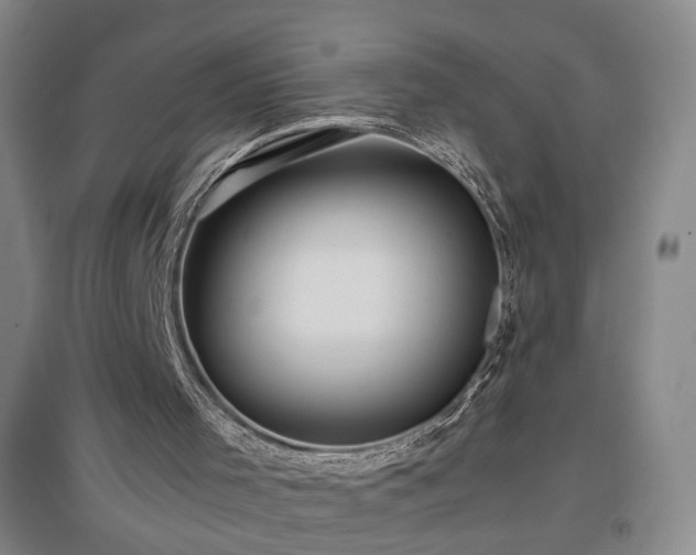 X0000097460001200802221224