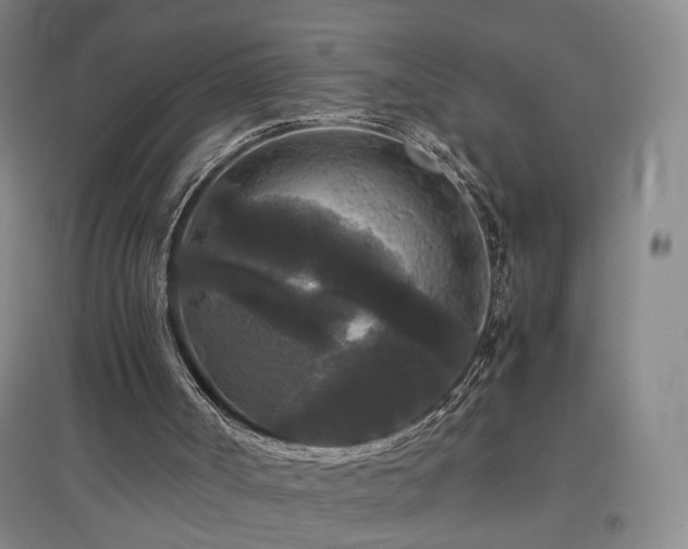 X0000097460002200802221224