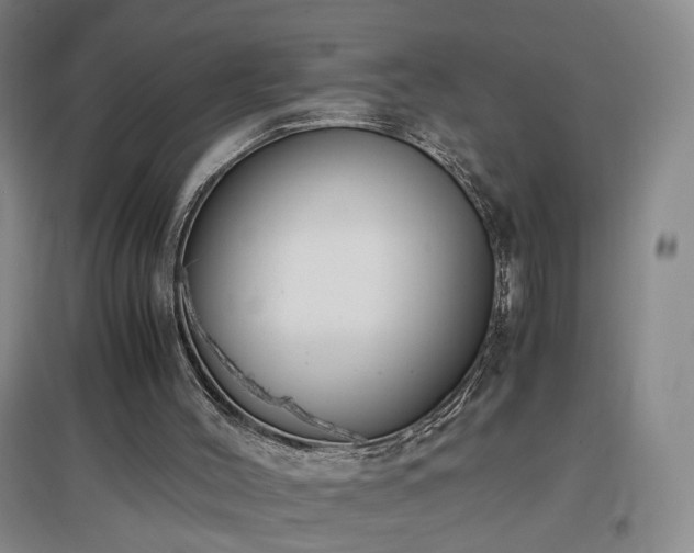 X0000097460004200802221224