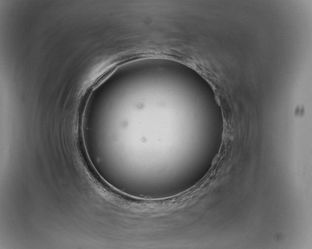 X0000097460005200802221224