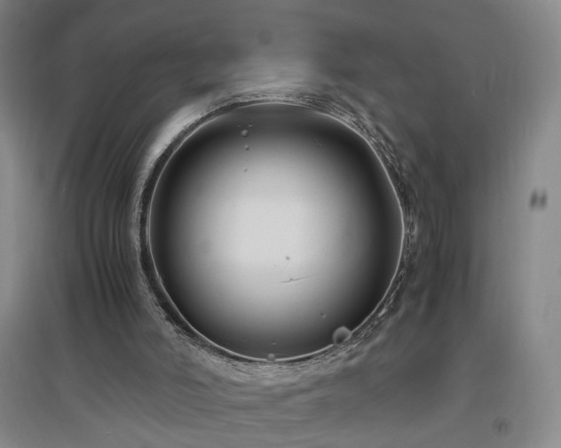 X0000097460006200802221224
