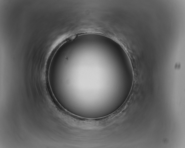 X0000097460008200802221224