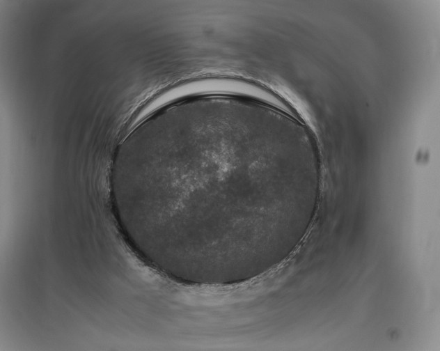 X0000097460009200802221224