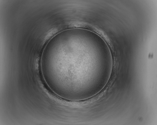 X0000097460010200802221224