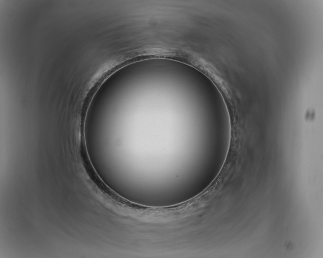 X0000097460011200802221224