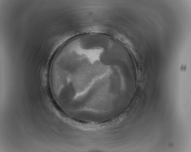 X0000097460012200802221224