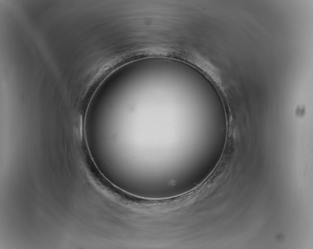 X0000097460013200802221224