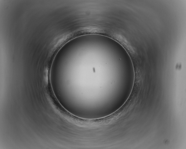 X0000097460014200802221224