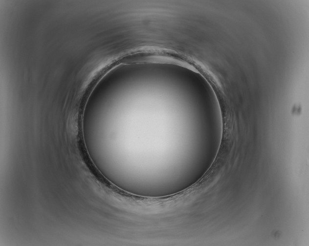 X0000097460015200802221224
