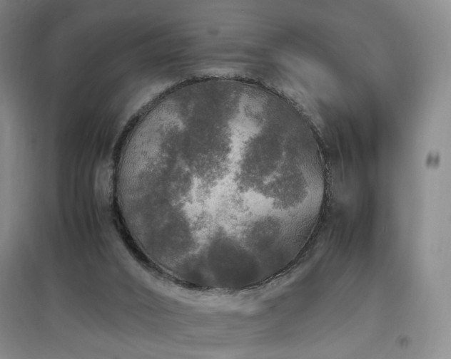 X0000097460016200802221224