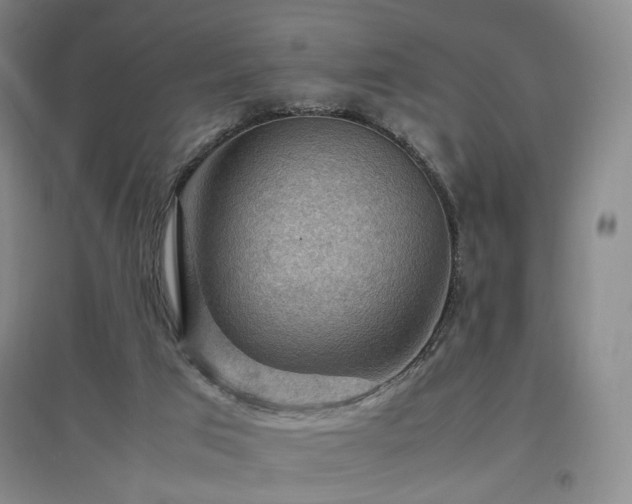 X0000097460017200802221224