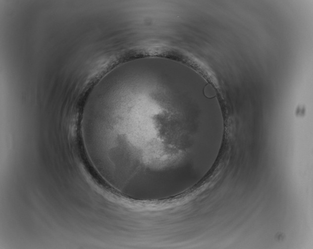 X0000097460018200802221224