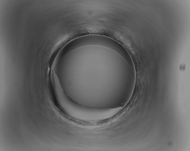 X0000097460019200802221223