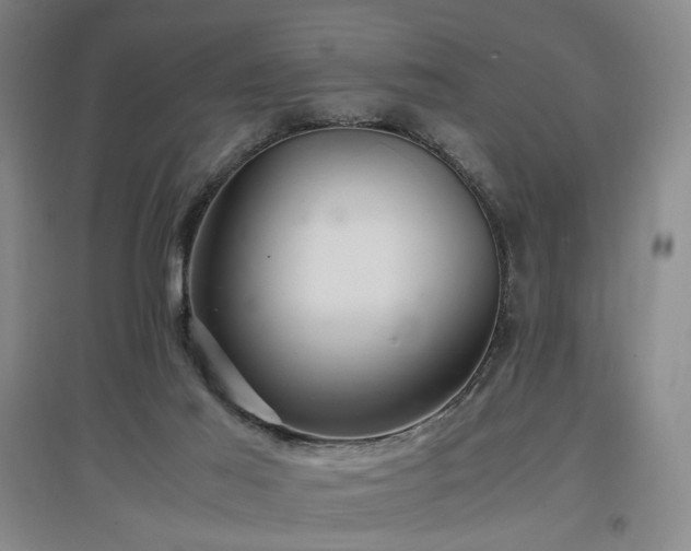 X0000097460021200802221223