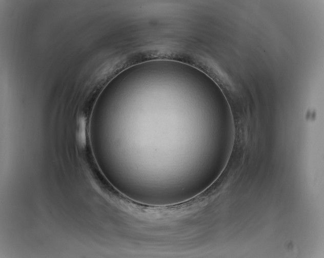 X0000097460022200802221223