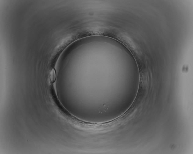 X0000097460023200802221223