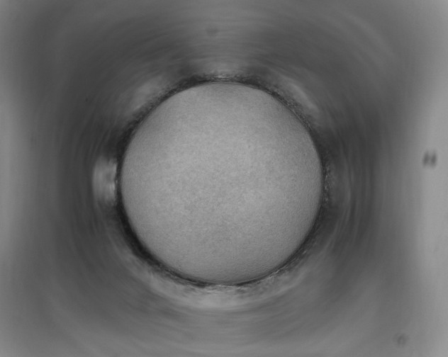 X0000097460024200802221223