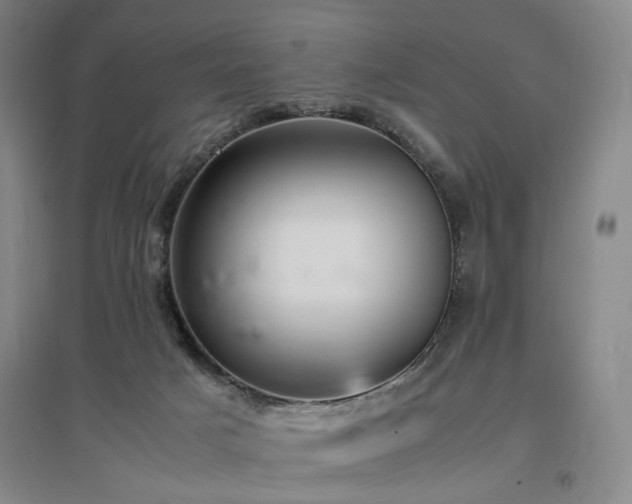 X0000097460025200802221223