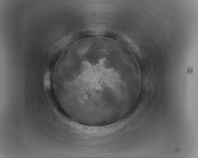 X0000097460026200802221223