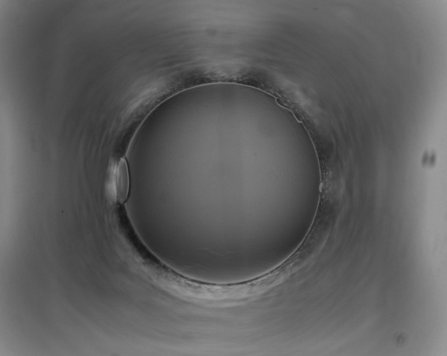 X0000097460027200802221223