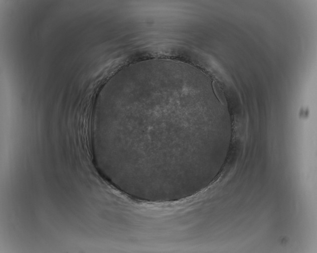 X0000097460029200802221223