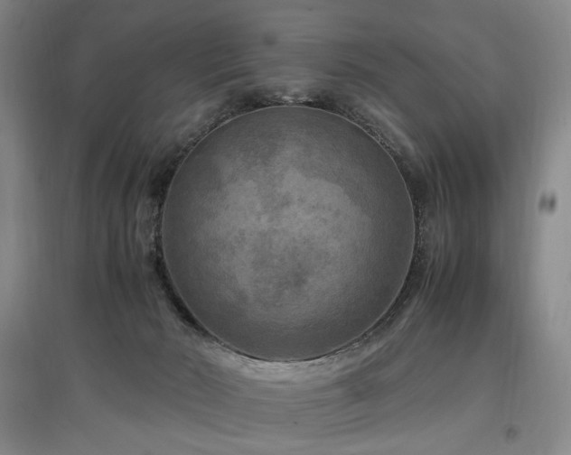 X0000097460030200802221223