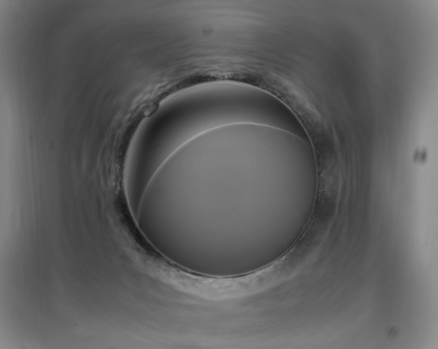 X0000097460031200802221223
