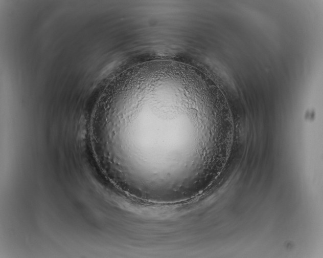 X0000097460032200802221223
