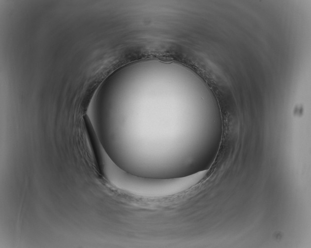 X0000097460033200802221223