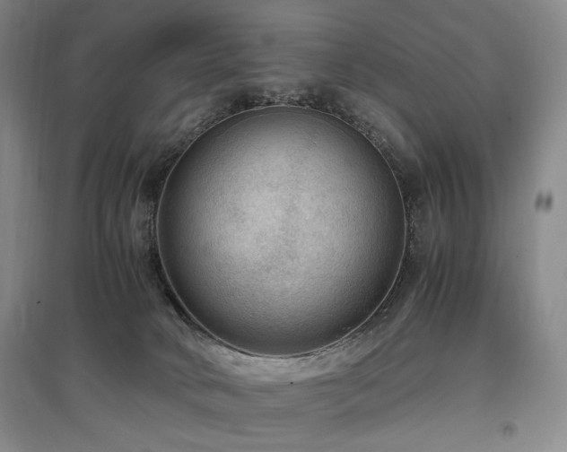 X0000097460034200802221223