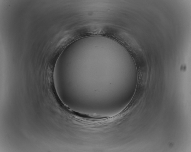 X0000097460035200802221223