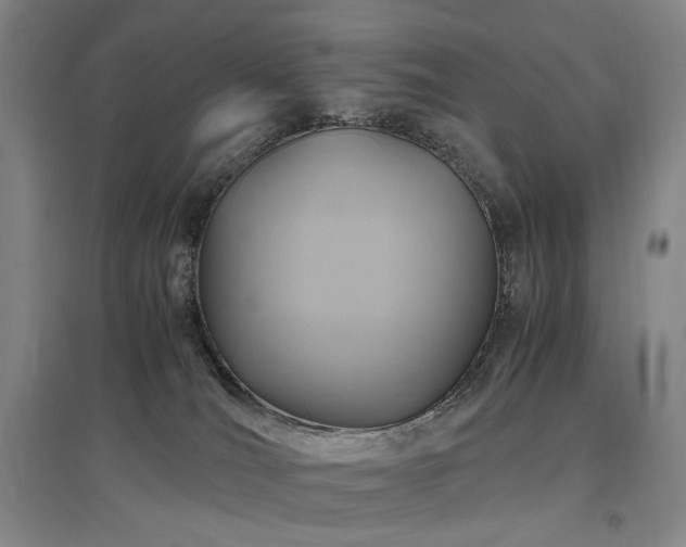 X0000097460036200802221223