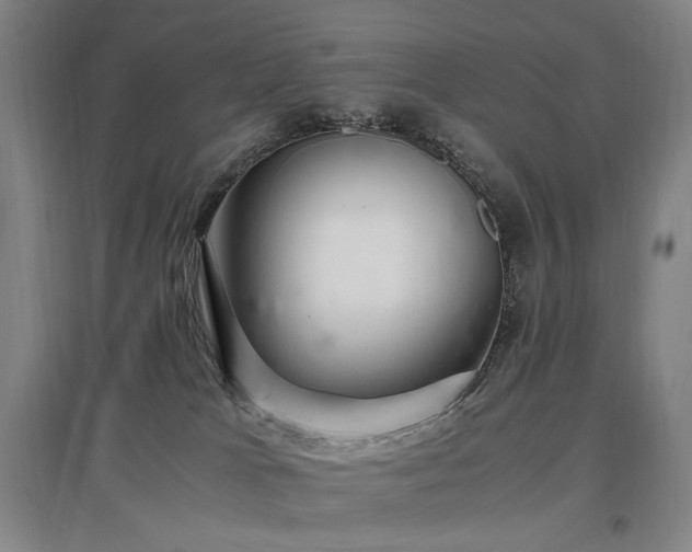 X0000097460037200802221223