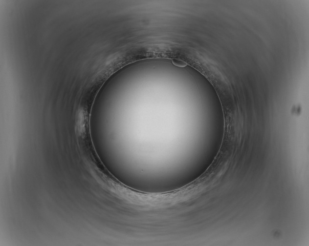 X0000097460038200802221223
