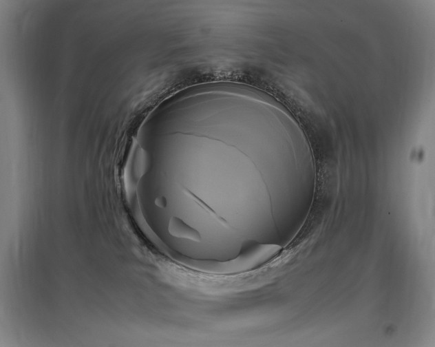 X0000097460039200802221223