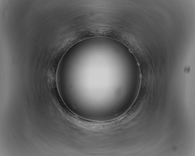 X0000097460040200802221223