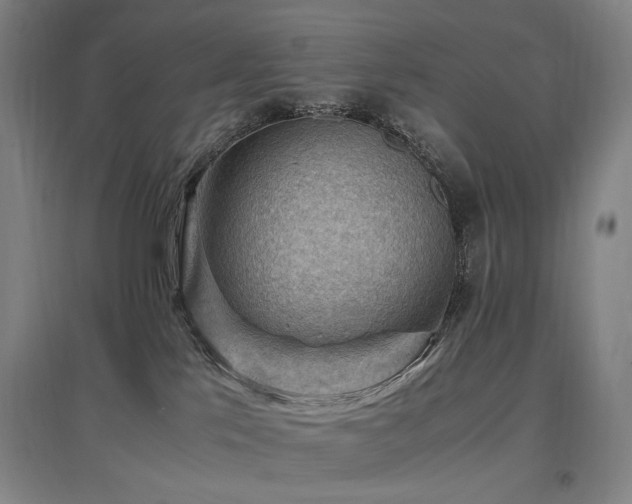 X0000097460041200802221223