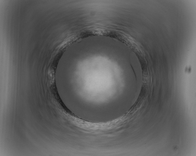 X0000097460043200802221223