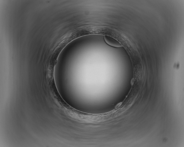 X0000097460044200802221223