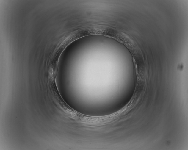 X0000097460045200802221223