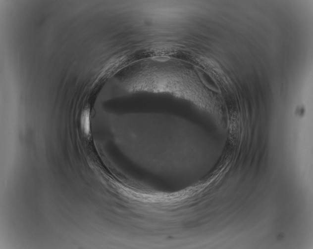 X0000097460046200802221223