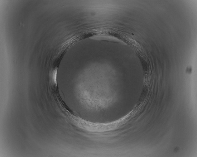 X0000097460047200802221223