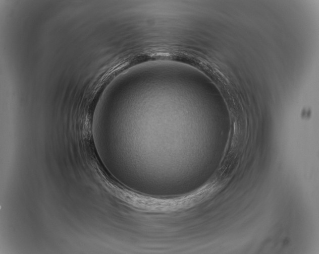 X0000097460048200802221223