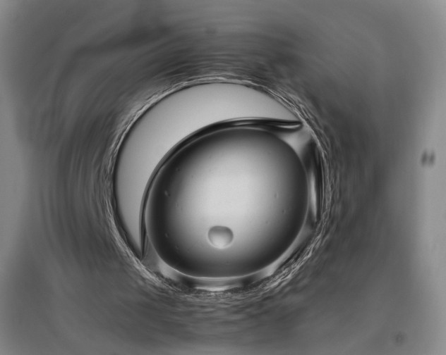 X0000097460049200802221222