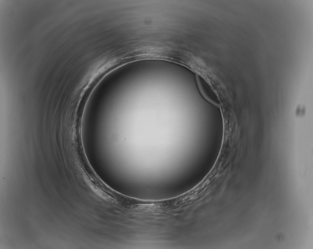 X0000097460050200802221222