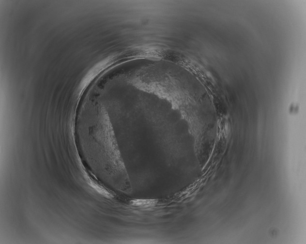 X0000097460051200802221222