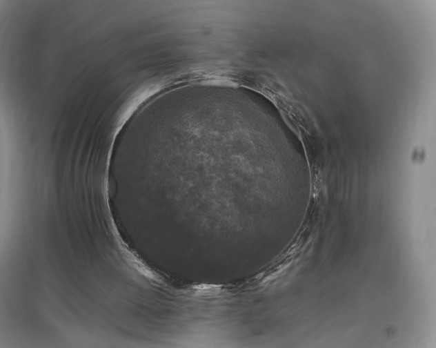 X0000097460052200802221222