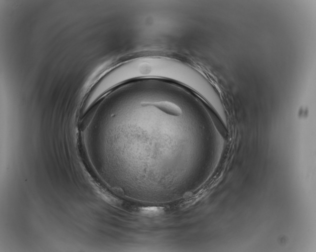 X0000097460053200802221222