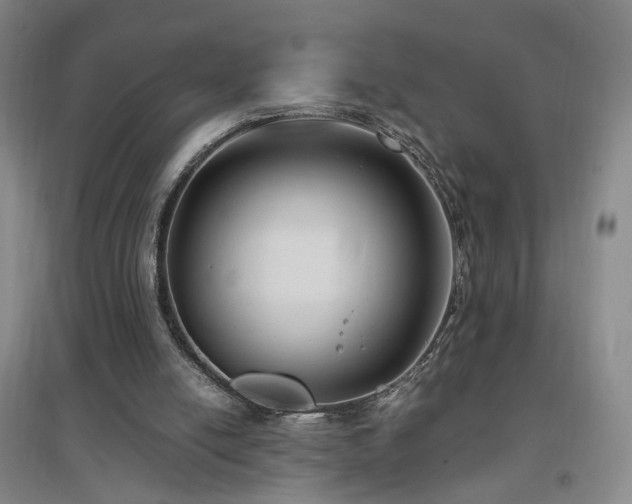 X0000097460054200802221222