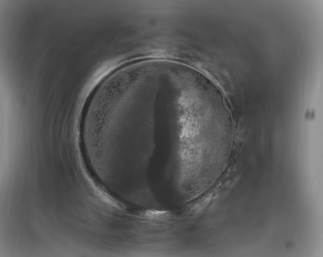 X0000097460055200802221223